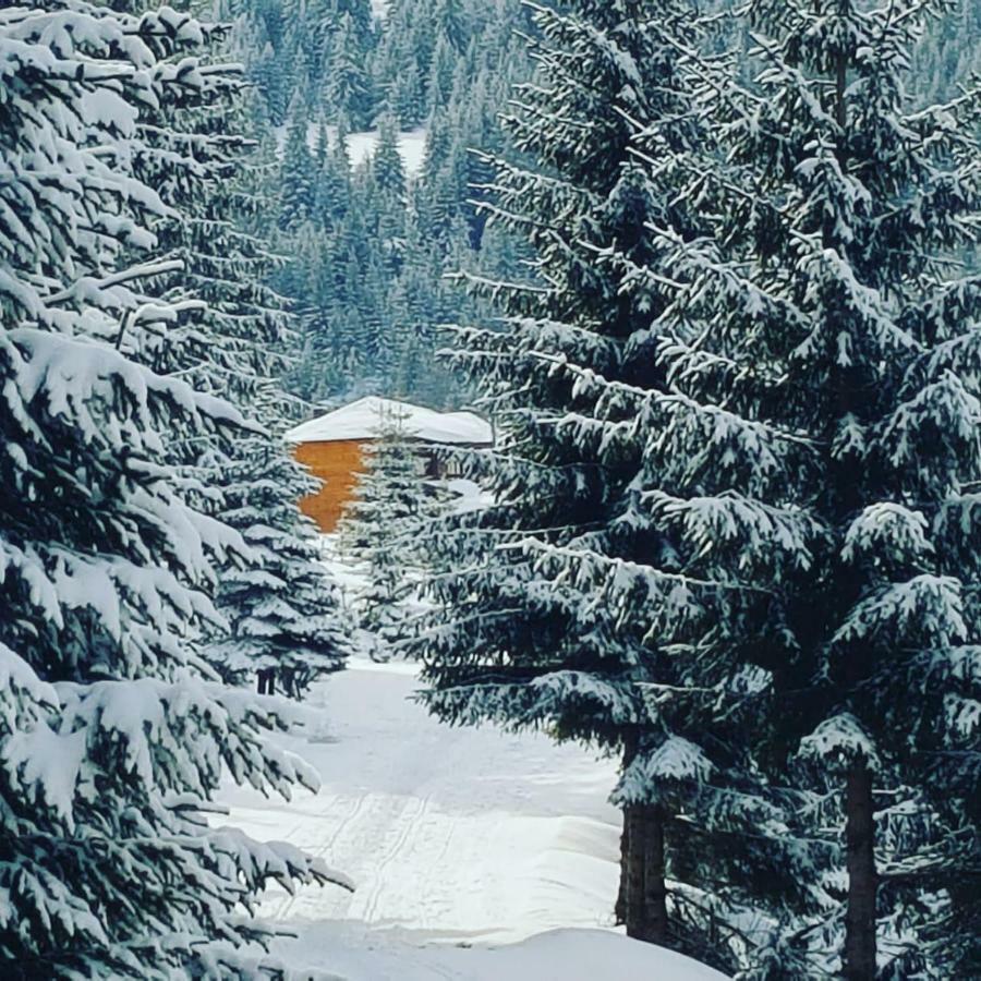 Resort Skrivena Berane Zewnętrze zdjęcie